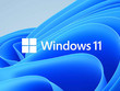 Microsoft Windows Pro 10/11 OEM Key