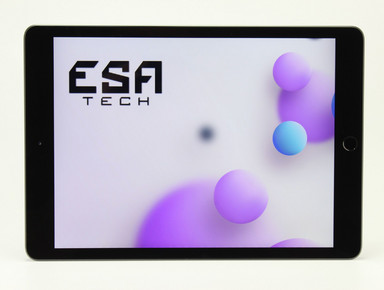 Apple iPad 8. Generation (A2270) (2021)