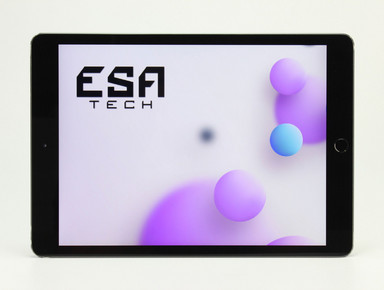 Apple iPad 8. Generation (A2270) (2020)