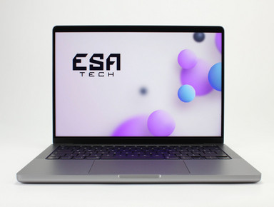 Apple MacBook Pro 18,3 A2442 (2021) M1 Pro