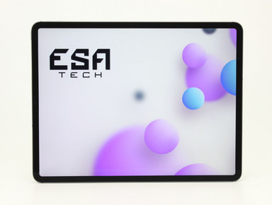 Apple iPad Pro 12.9 (4. Gen.) (A2232) Wi-Fi + Cellular (2020)