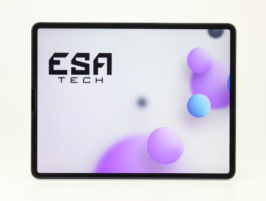 Apple iPad Pro 12.9 (4. Gen.) (A2232) Wi-Fi + Cellular (2020)