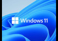 Microsoft Windows Pro 10/11 OEM Key