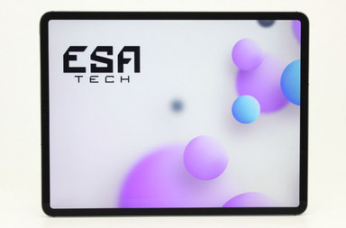 Gebrauchte Apple iPad Pro 12.9 (4. Gen.) (A2232) Wi-Fi + Cellular (2020), 6 GB, LPDDR4X, 12.9" ins., 2732x2048 px, SSD, 128 GB, 519,00 €, Produktcode 12023409 ESA-Tech
